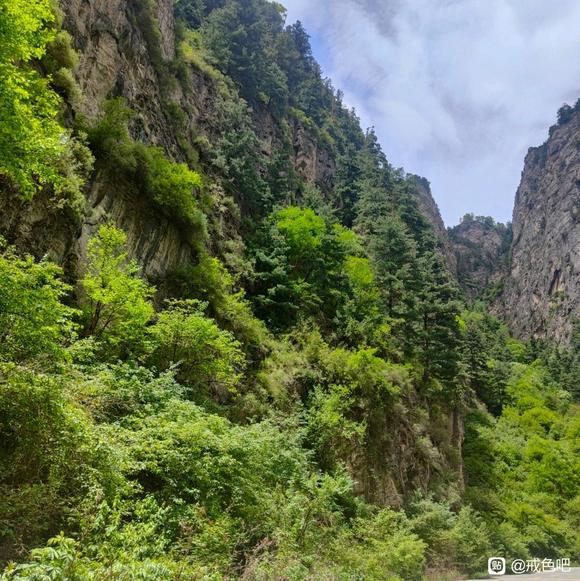 ”实在撑不住了，请各位大哥帮忙指导一下