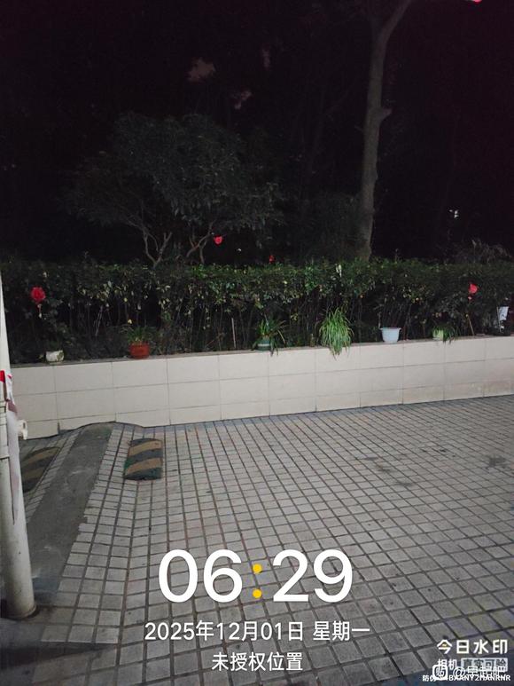 ”12月早起打卡贴