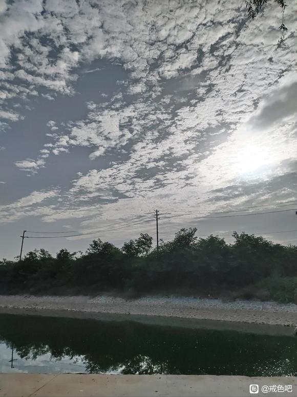 ”#微信看病卖药是假的#戒色第4天.