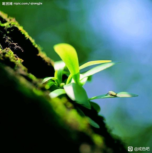 ”个人心得体会