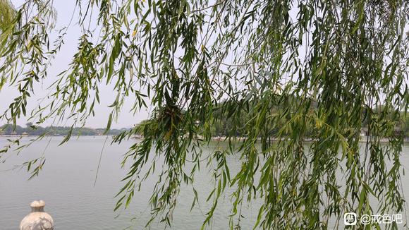 ”第1天，致两千年后的你