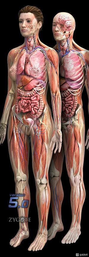 ”发愿戒色一年，坚定的走，直到彻底戒除！