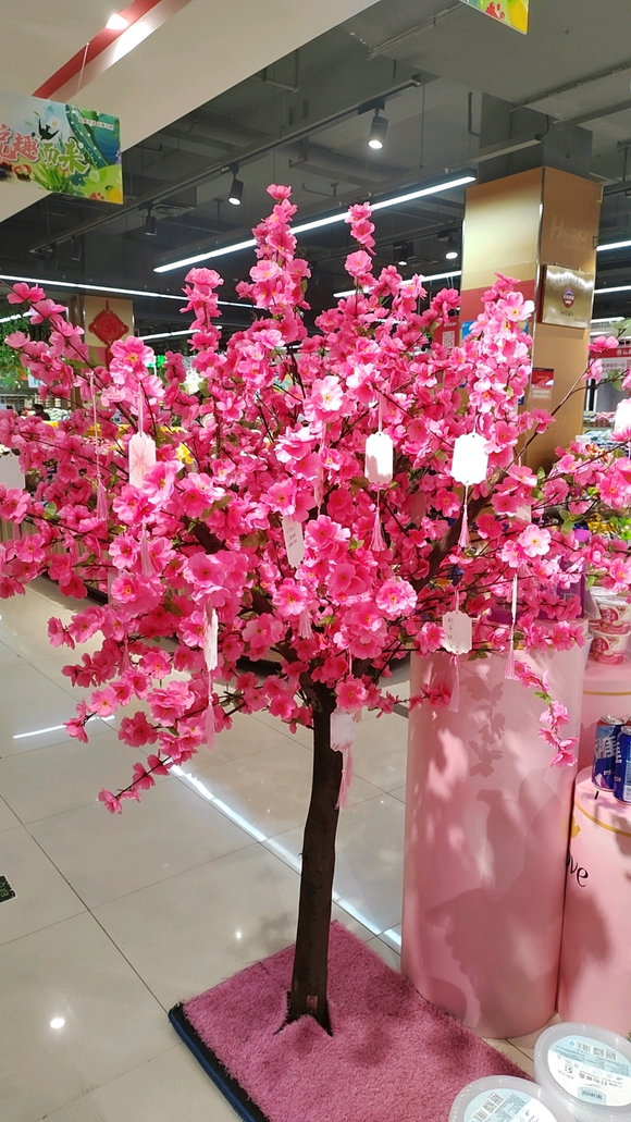 ”每次都是戒一个星期破戒怎么办