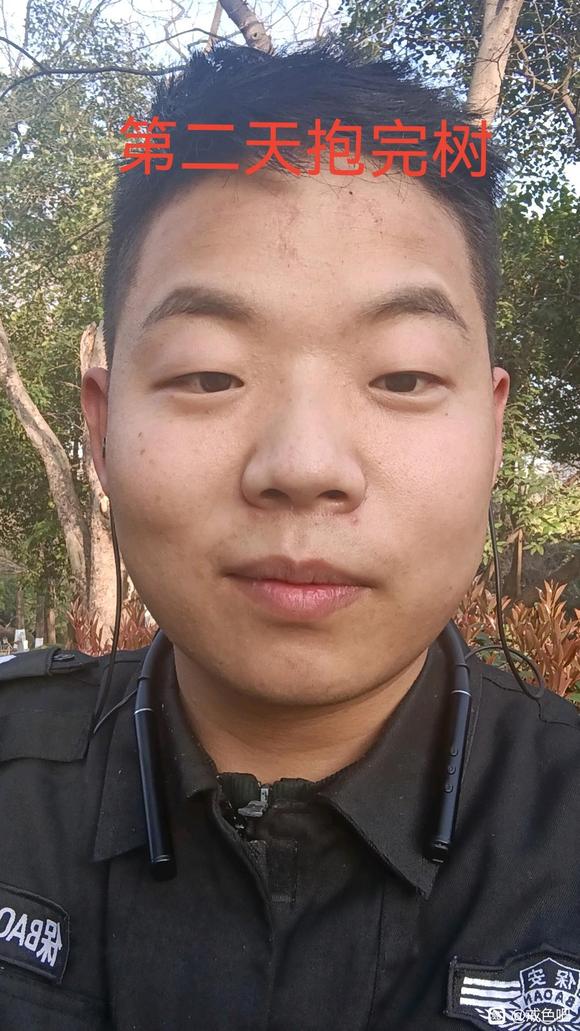 ”树疗的效果真的太好了