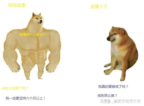 ”究竟怎么样才能成功戒色