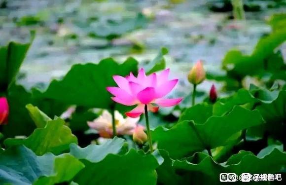 ”日行一善的100