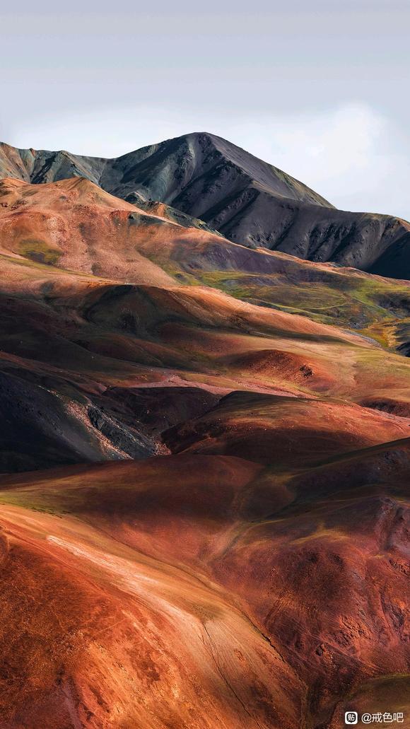 ”破戒了，15天