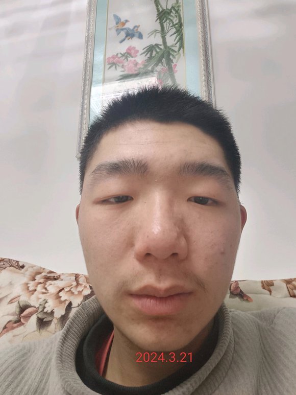 ”记录相貌吧，每天晚上拍照