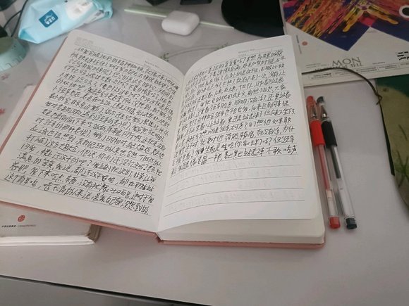 ”记录相貌吧，每天晚上拍照