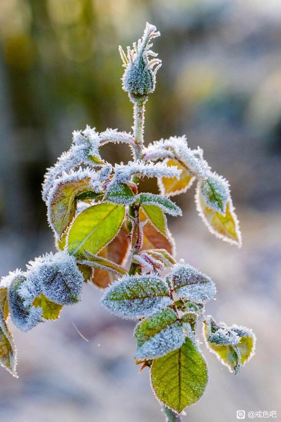 ”【吧友必看】各种疑难病因以及恢复方法大集合