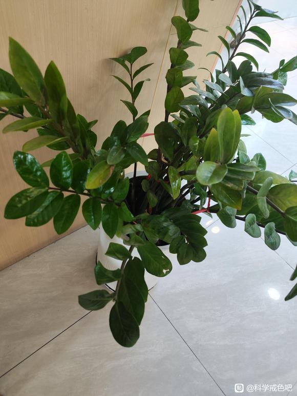 ”戒色400天+经验分享，愿看到这篇帖子的都能戒除邪淫