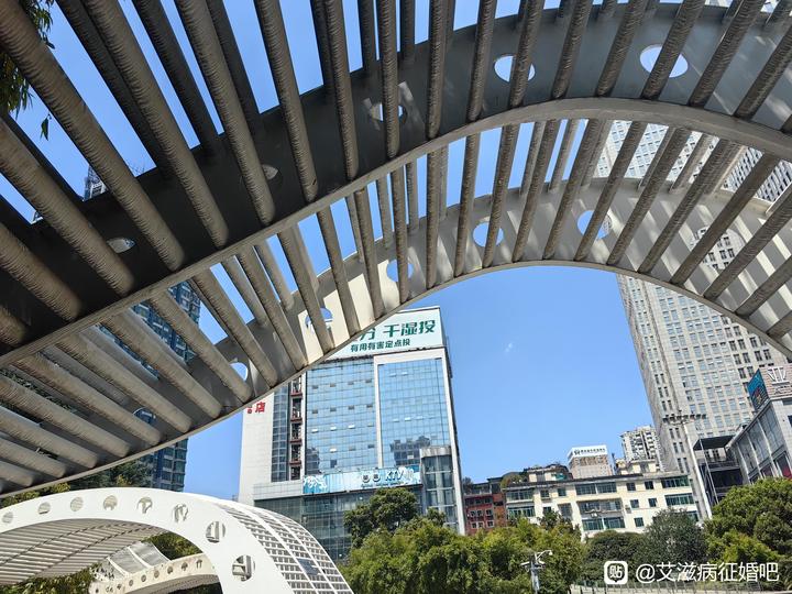 ”分享：哀莫大于心死，继续挣扎（艾征婚）