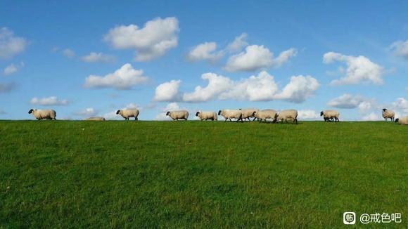 ”如何打消“最后一次”“下次一定”这种想法