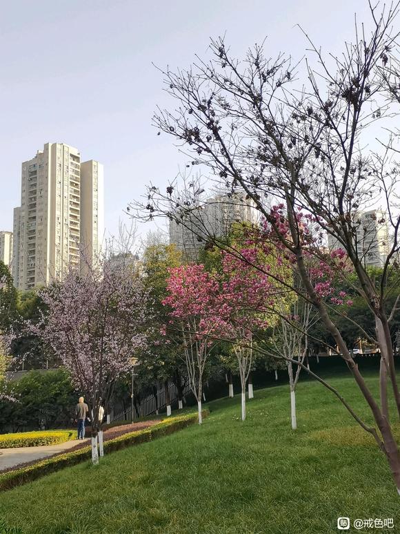 ”人生能重来就好了