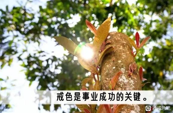 ”男足该戒色了