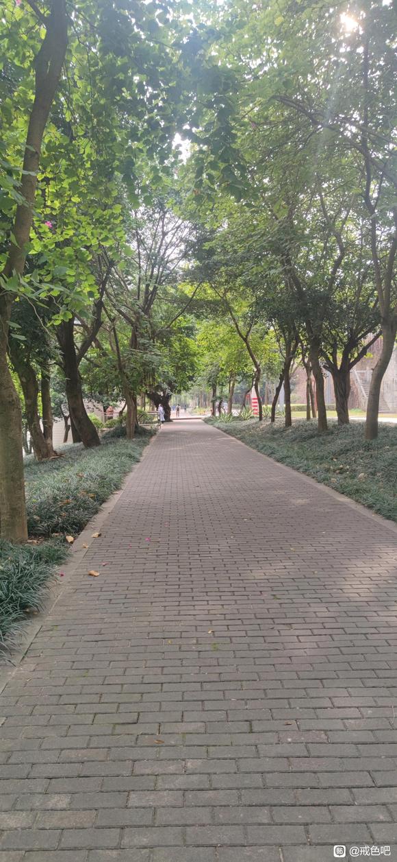 ”落实戒色计划