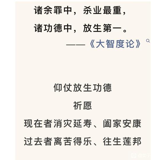 ”我们去放生吧