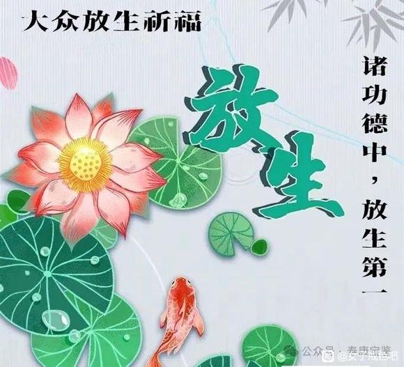 ”我们去放生吧