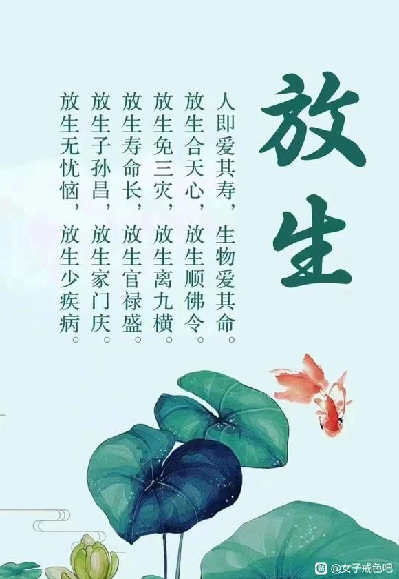 ”我们去放生吧