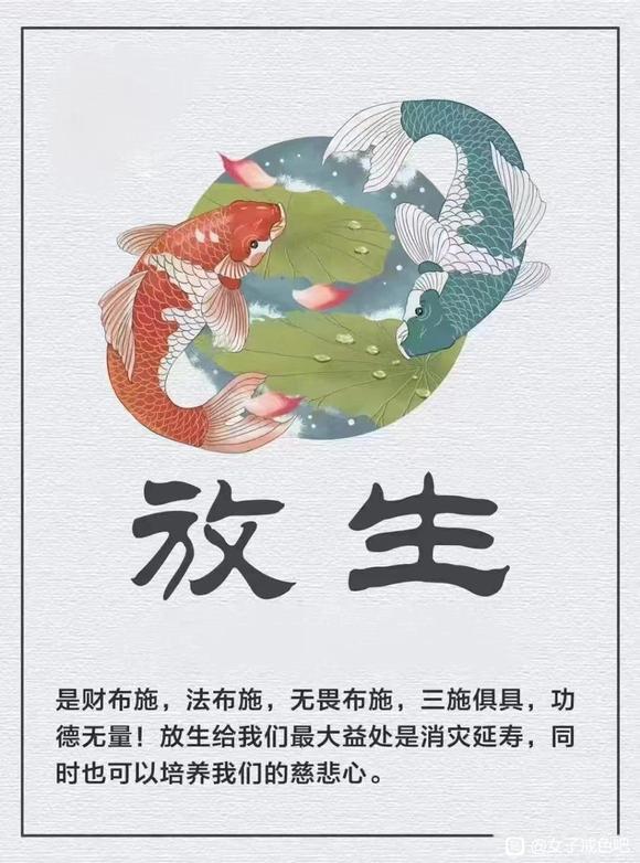 ”我们去放生吧