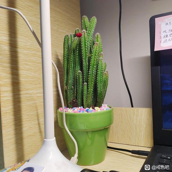 ”早上被下面胀醒来