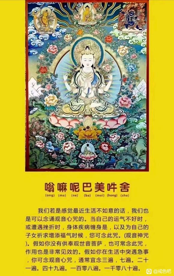 ”#微信看病卖药是假的#嗡嘛呢巴美吽舍