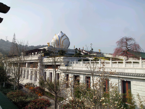 ”【戒德随笔】最近看到一种观点，我认为有待商榷