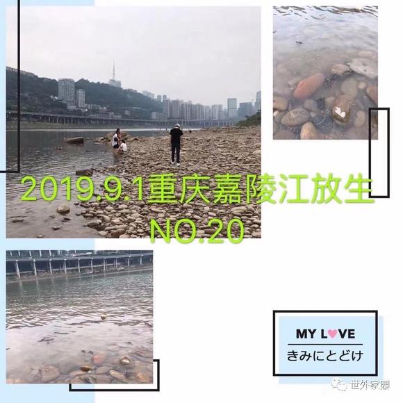 ”我从负债几十万，到三个月挣22万（转载）