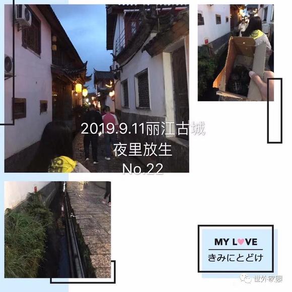 ”我从负债几十万，到三个月挣22万（转载）