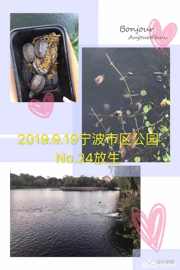 ”我从负债几十万，到三个月挣22万（转载）