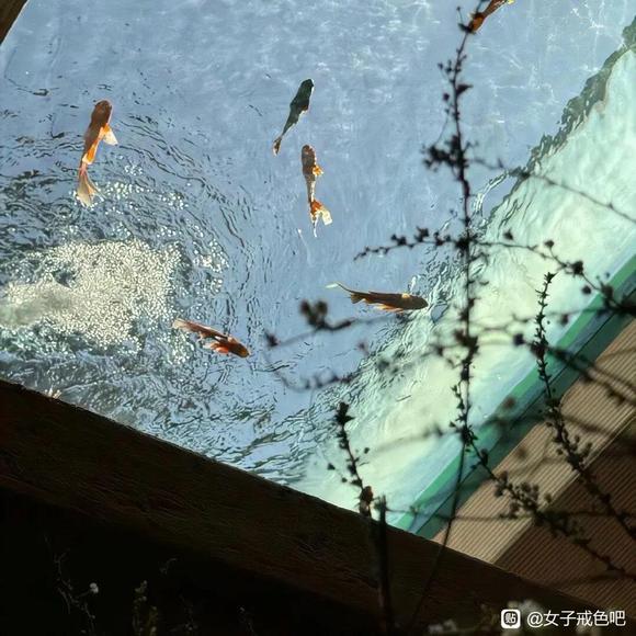 ”戒色三年半，早已成为一种习惯（转载）