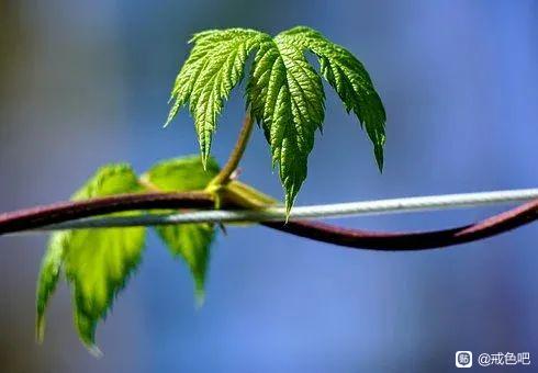 ”【成长记录】戒色第107天！