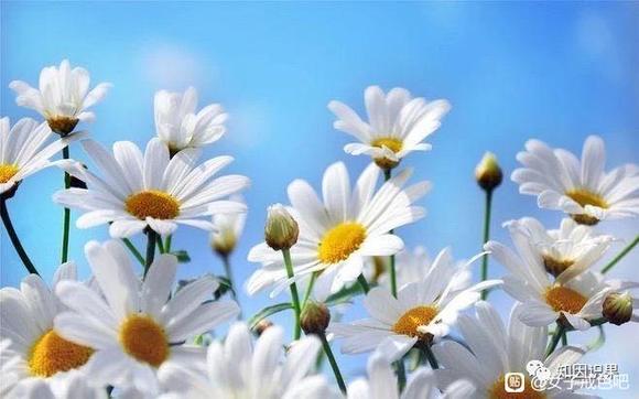 ”我不可思议的买房经历（转载）