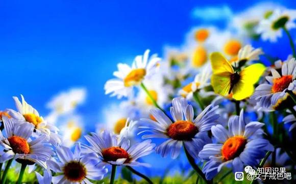 ”我不可思议的买房经历（转载）