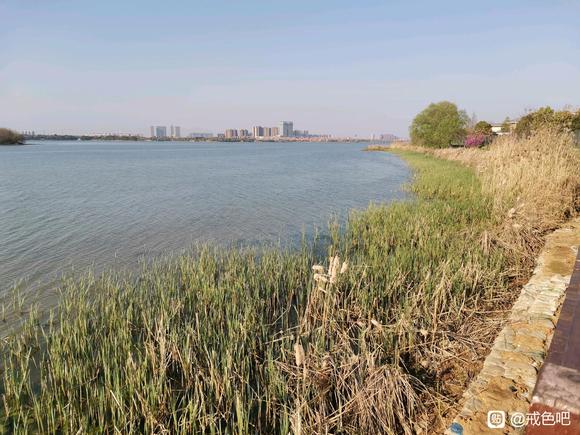 ”【成长记录】戒色第四，五天(男31)