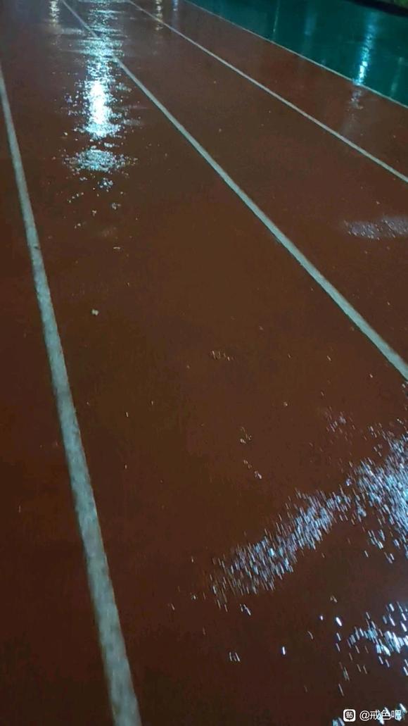 ”修身养性第八天