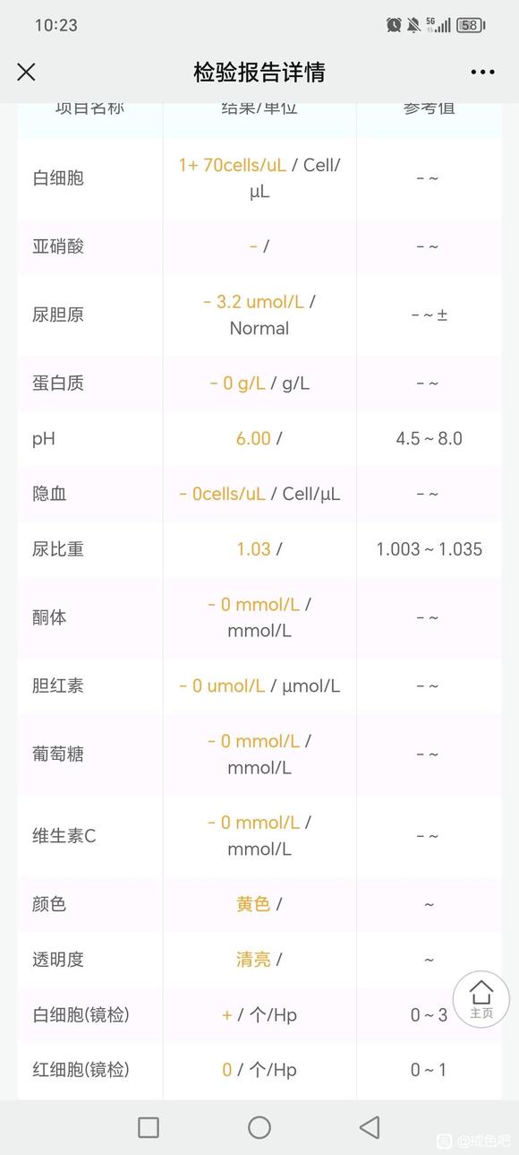 ”老哥们帮我看看这是什么性病