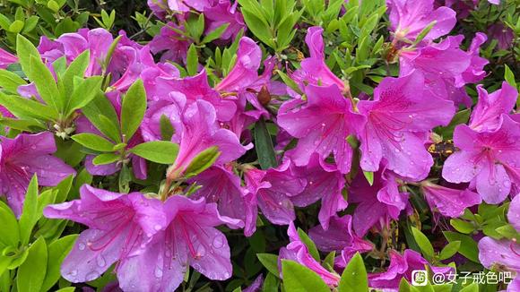 ”加大正气马力