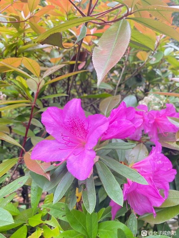 ”醒来，一切的发生都是为了醒来