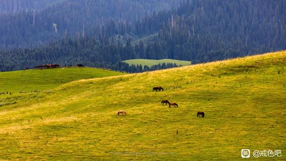 ”戒色第20天，我会越来越好
