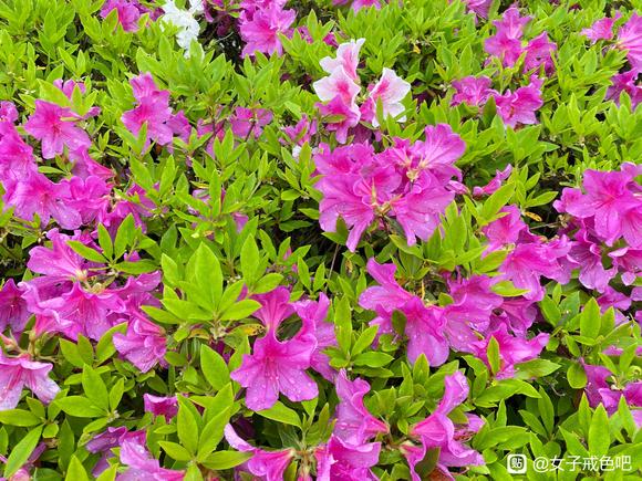 ”邪念种子一到，更换土壤