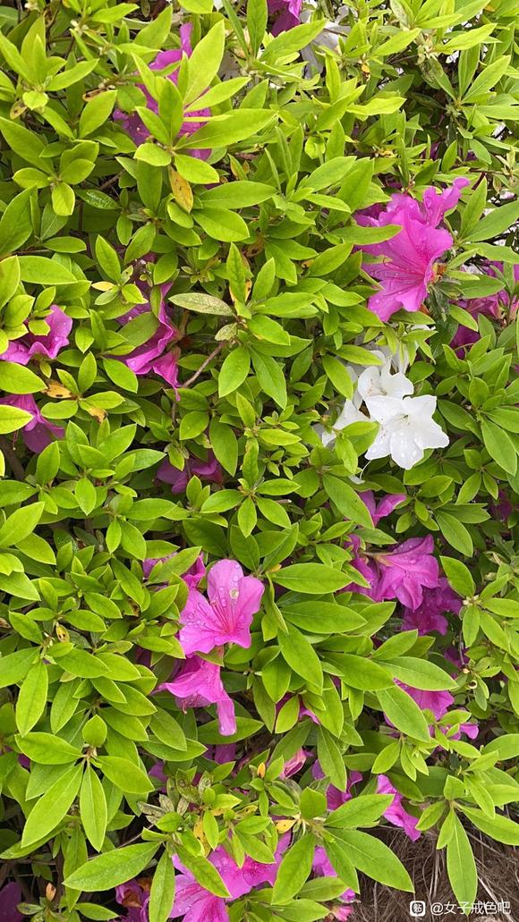 ”如果觉得难受，说明在爬坡