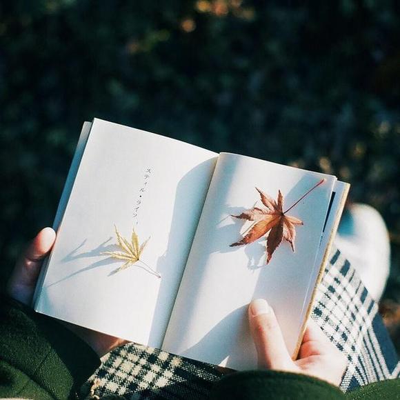 ”【转】论“失精家”的证治