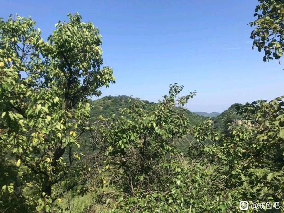 ”#微信看病卖药是假的#偶然发现深山小院子