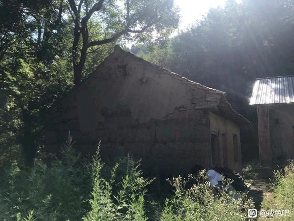 ”#微信看病卖药是假的#偶然发现深山小院子