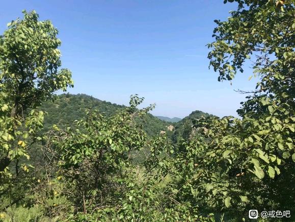 ”#微信看病卖药是假的#偶然发现深山小院子