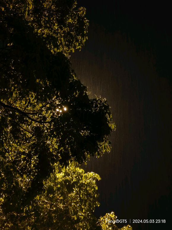 ”【成长记录】第一天顺利度过