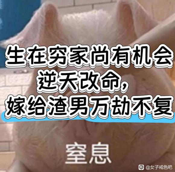 ”不自重的后果就是嫁给渣男