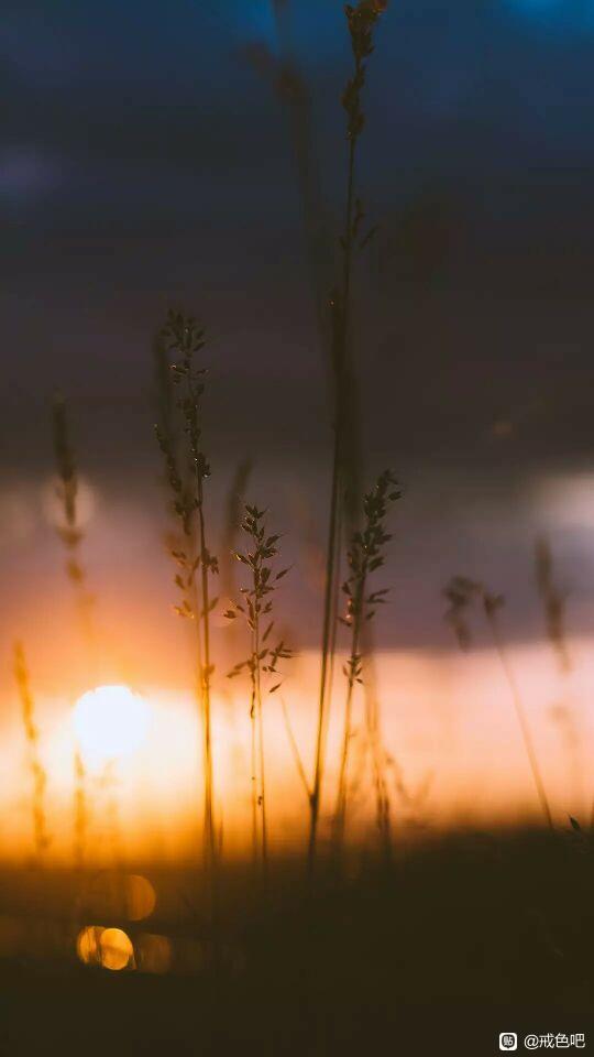 ”【资料分享】没有福报支撑，戒色将难以为续！