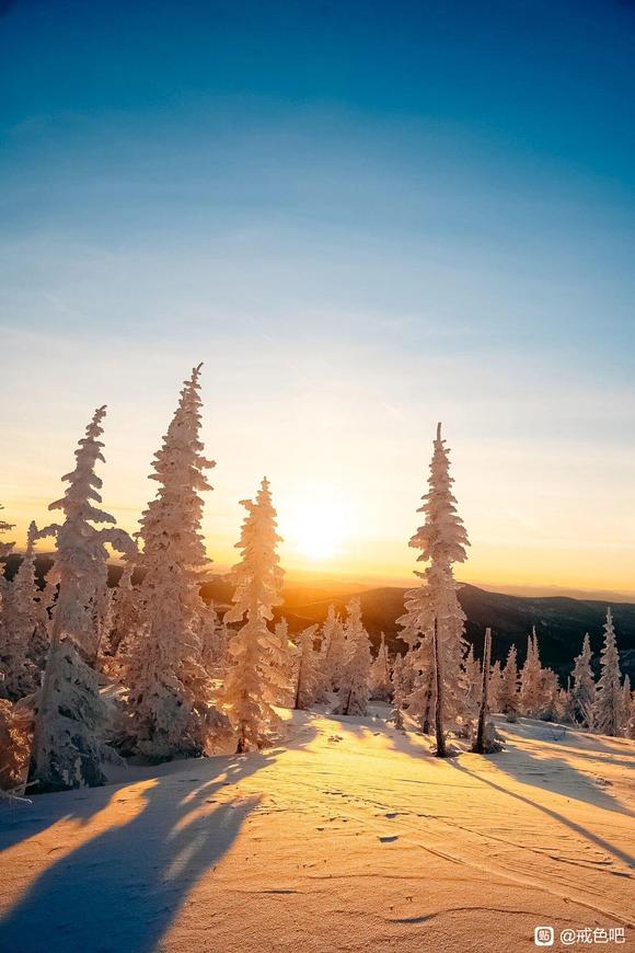 ”曾经严重失眠，现在彻底恢复！